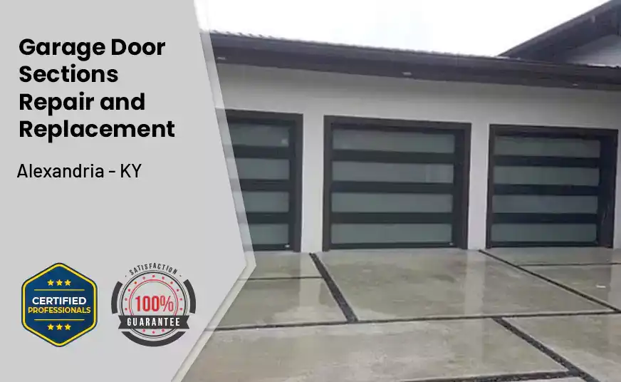 Garage Door Sections Repair and Replacement Alexandria - KY 