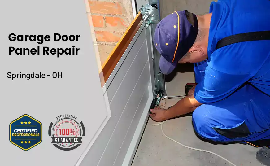 Garage Door Panel Repair Springdale - OH 